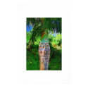 Pseudophoenix palm tree, Oil painting posters by palmimages Pseudophoenix palm tree, Oil painting posters
