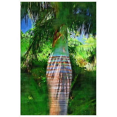 pseudophoenix palm tree Oil painting T-shirt by palmimages