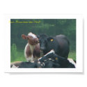 Pssst...Wanna know what I herd? posters