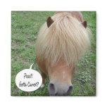 psst! Gotta carrot? Magnets