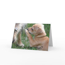 Psst! Guess what? cards