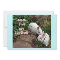 Psst, you are invited! invitations