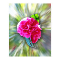 Psychadelic flower posters