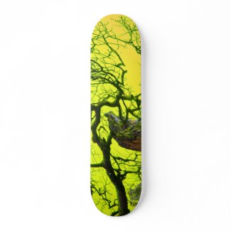 psychedelic board skateboard