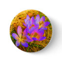 Psychedelic Crocus buttons by motherofstone Psychedelic Crocus buttons