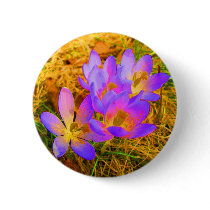 Psychedelic Crocus buttons by motherofstone Psychedelic Crocus buttons