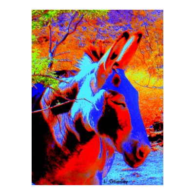 Psychedelic Donkey Poster by Lessandra