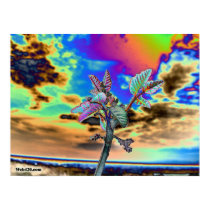 psychedelic flower posters