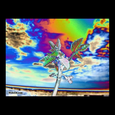 psychedelic flower print by Web420