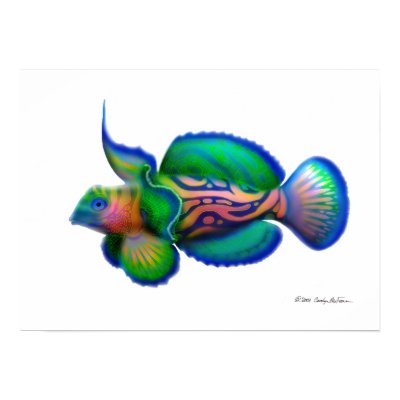 Psychedelic Mandarin Fish Print by twopurringcats