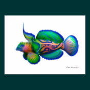 Psychedelic Mandarin Fish Print