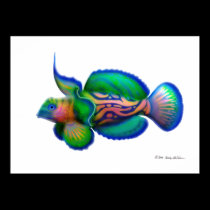 Psychedelic Mandarin Fish posters