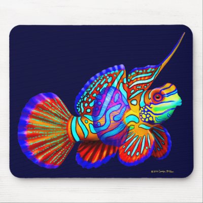 psychedelic_mandarin_goby_fish_mousepad-