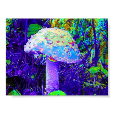 psychedelic mushroom posters by HessyLu