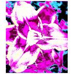 Psychedelic Purple and Blue Flower Tee Shirts