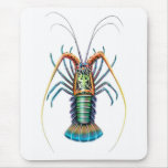 Psychedelic Spiny Lobster Mousepad