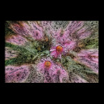 Psychedelic Susans posters