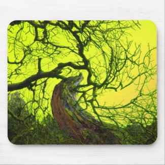 psychedelic treescape mousepad