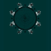 Psychic Fibonacci Peacock Beam Tshirts