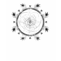 Psychic Fibonacci Peacock Beam