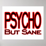 Psycho But Sane Poster