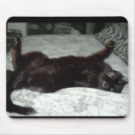 Psycho Kitty Mouse Pads