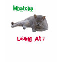 "Psycho Sadie:  Whatcha Lookin  At ?" White Tshirt