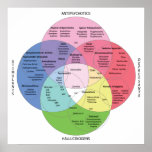 Psycotropic Drug Chart Print