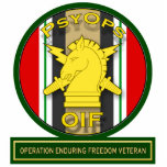 PsyOps - Operation Iraqi Freedom Veteran Photo Cutout