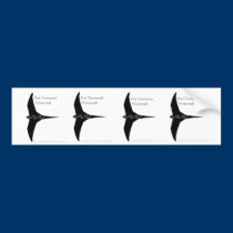 PT11 Pacific Swift Stckers bumper stickers