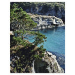 Pt. Lobos State Preserve Flyer