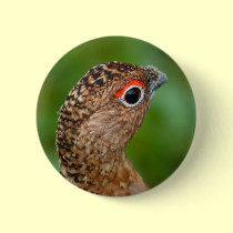 ptarmigan buttons