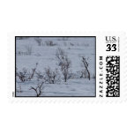 Ptarmigan Family Stamp