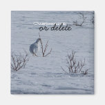 Ptarmigan Snacking; Customizable Magnet