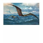 Pteranodon Antique Print Tee Shirts