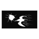 Pteranodon Photo Cards