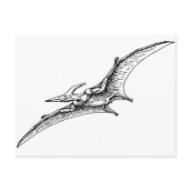 Pterodactyl Post Card