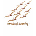 Pterodactyls Swarming t-shirts by kmmarsd Pterodactyls Swarming t-shirts