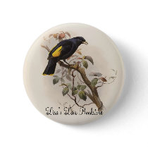 Ptilorhynchus rawnsleyi - Rawnsley's Bower-bird buttons by LisasLair Ptilorhynchus rawnsleyi - Rawnsley's Bower-bird buttons