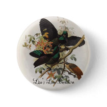 Ptiloris victoriae - Queen Victoria's Rifle-bird buttons by LisasLair Ptiloris victoriae - Queen Victoria's Rifle-bird buttons