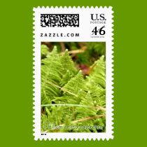 Ptilum crista-castrensis stamps