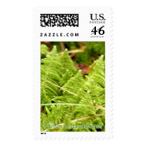 Ptilum crista-castrensis postage by ksignorello Ptilum crista-castrensis postage