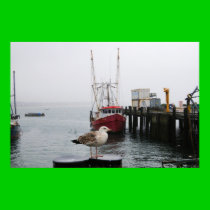 Ptown Harbor posters