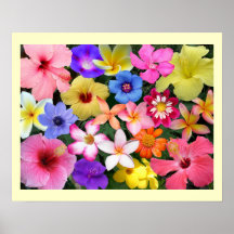 PTropical Flowers Posters