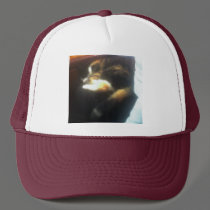Pub Cat hats