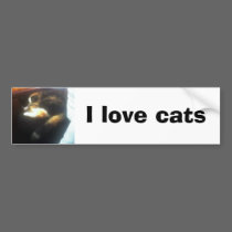Pub Cat, I love cats bumper stickers