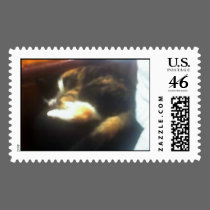 Pub Cat stamps