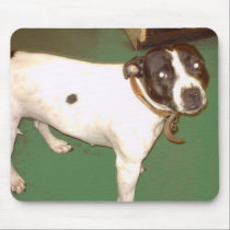 Pub Dog 1 copy mousepads