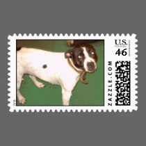 Pub Dog 1 copy stamps