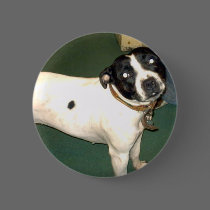Pub Dog 2 copy buttons